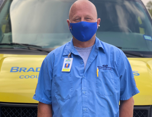 Whole House Air Filters vs. Room Purifiers